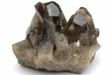 Natural Smoky Quartz Crystal Cluster - Brazil #231289-1